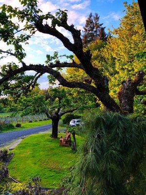 My favorite spot to enjoy a glass of wine