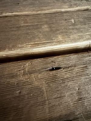 Exposed nail tip in sauna