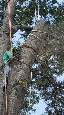 Our expert climber