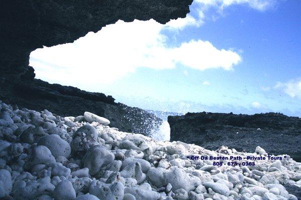 WHITE CORAL BEDS HIKING / 4X4 TOURS