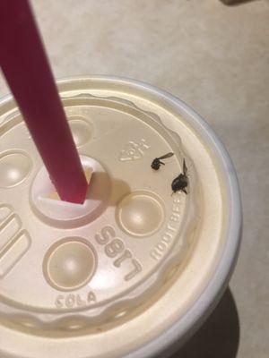 New pumpkin shake comes with a crunchy fly!