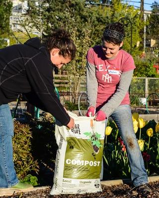 Compost for raised beds