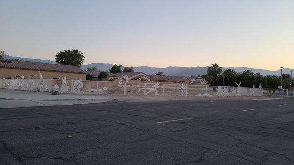 White Desert Animals on Fence just outside the entrance   05-14-2021