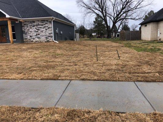 Bermuda sod install