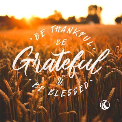 Happy Thanksgiving from us at Convergent... may you all be reminded of the many reasons we have to be grateful in the coming days.