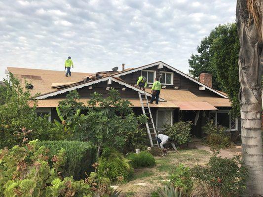 The crew putting plywood on the house after taking the old roof off and not telling me it would take at least six months to get the new tile