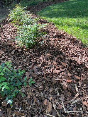 Mini Pine Bark Nuggets