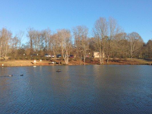 The pond is always a wonderful place to stop and eat lunch at. (During the Pandemic this was a great escape place)