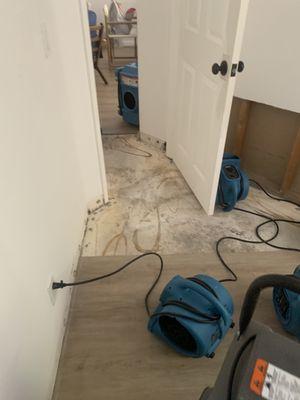 Flooring in the bedroom