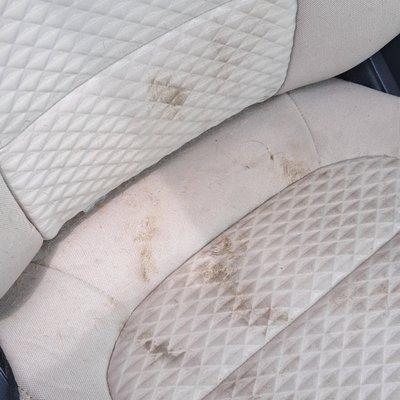 Car seat after Rover Ranch 24hr stay.  Initially, I thought it was dog feces.