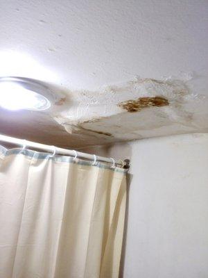 Leaky bathroom ceiling