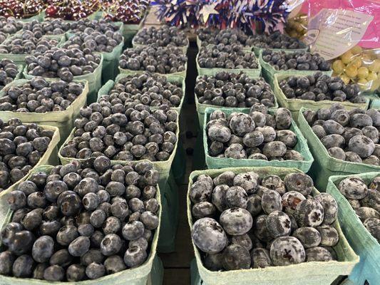 The size of these blueberries