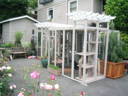 Secured, outside, cat friendly patio