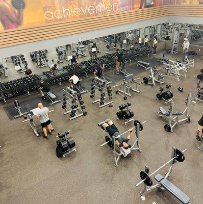 Free Weights Section