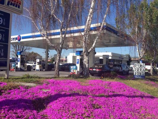 Arco Gas Station, Fremont, CA.