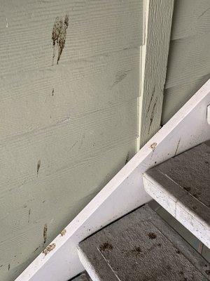 Walkways, hallways & stairwells are filthy