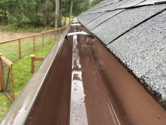 Gutter Cleaning