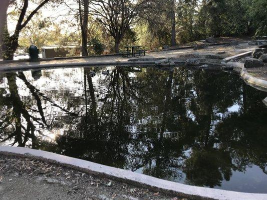 small pond adjacent to the ATC building