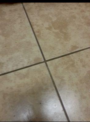 Before grout cleaning.