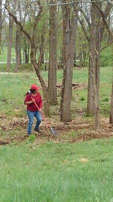 Lorena raking area after stump grinding