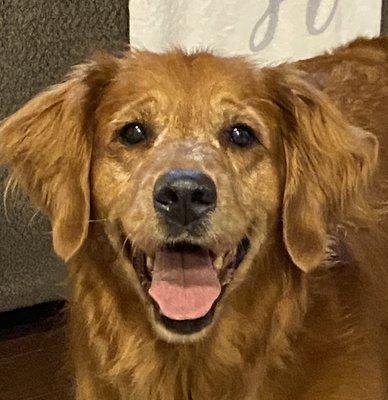 Cassie Lou is our main store greeter and loves pets...and treats!