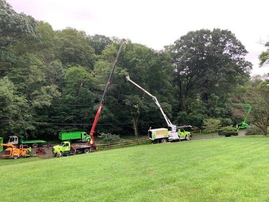 Bringing the cranes for 80' trees