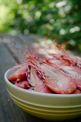 Spot prawns.