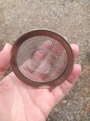 Free strainer from plumber for my drain