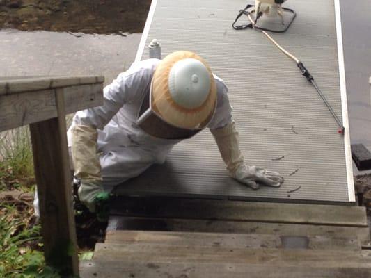 Tech getting a wasp nest out of the stairs to the lake.