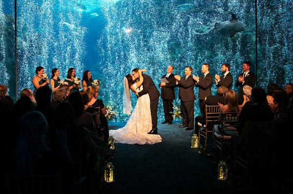 First kiss, complete with a shark photobomb in the corner :)