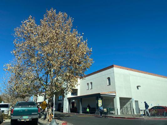 Whole Foods In Santa Fe NM