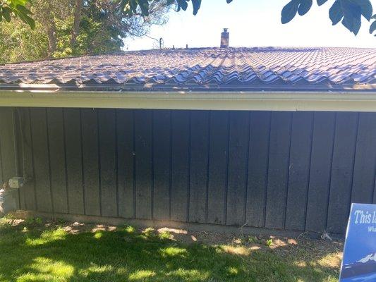 This is the roof line that they rat proofed. Eye level, and visible from my garden.