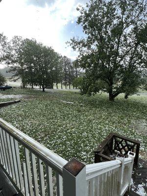 Sea-Doo + Hail + Fall Branches & Debris