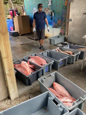 We ended up buying a grouper she picked out and Glenn fileted it for us.