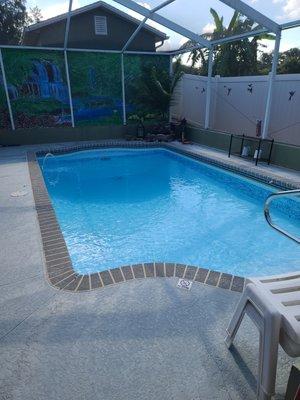 Daniel Vitale Pool Service