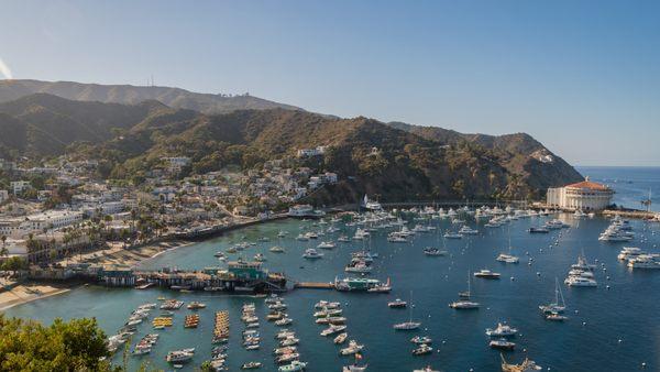 View of Avalon Harbor.