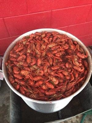 Crawfish!! Crawfish!! Every Friday!!!