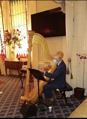 Harpist at Candlelight Rememberance Vigil