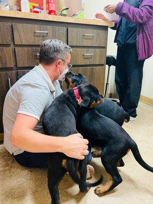 Dr. Lorber meeting our pups