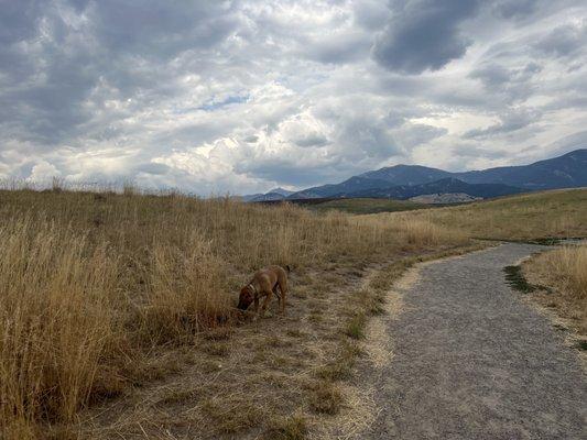 The dog park last Sun 8/21/22