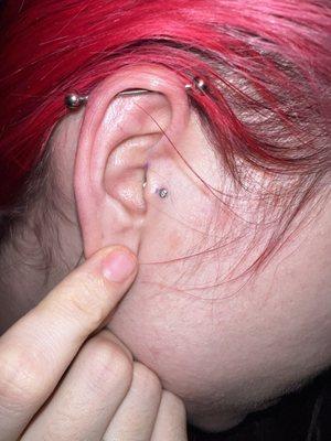 Tragus Piercing