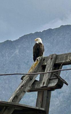 Chilkoot Charters