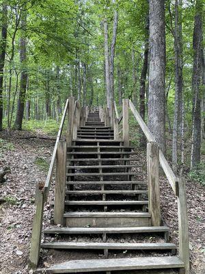 Stairs on Trail 6-you take these both directions