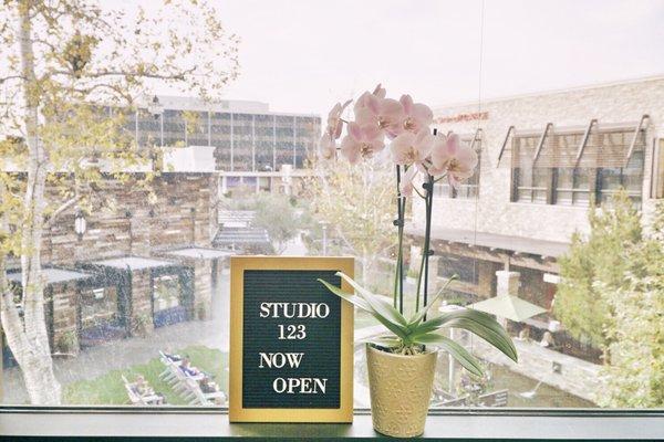 View of The Village from the Studio. People watch and see the Koi Fish swimming in the pond while getting your hair done.