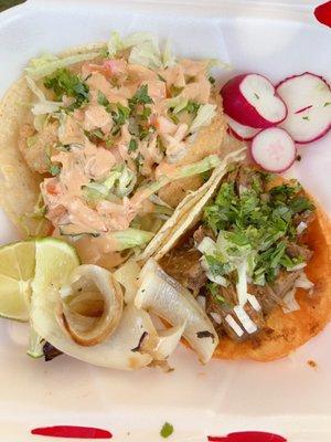 Fish tacos were really well made and fresh; Birria was a trial as it was my first time having it... will order more next time