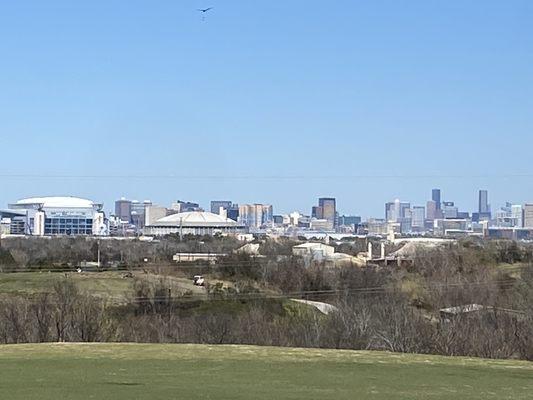 Houston Skyline