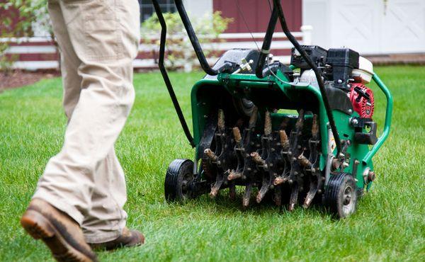 Aeration help with grass growth