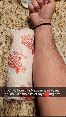 Monster burrito. Literally the size of a grown mans forearm.