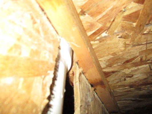 These type of wood floor joists are not supposed to be cut or notched at the top or bottom flange.  This needs to be repaired.