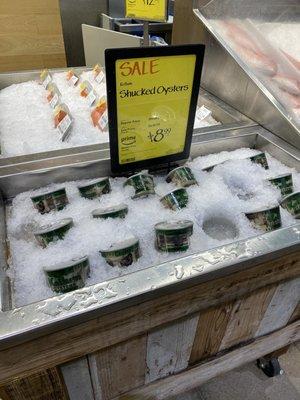 Fresh oysters on Sale